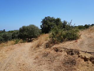 Οικόπεδο 1.800 τ.μ. πρός πώληση, Ν. Ρεθύμνου, Νικηφόρος Φωκάς-thumb-5