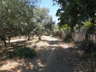 Οικόπεδο 1.800 τ.μ. πρός πώληση, Ν. Ρεθύμνου, Νικηφόρος Φωκάς-thumb-6
