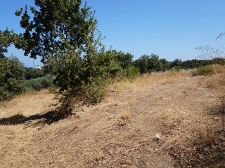 Οικόπεδο 1.800 τ.μ. πρός πώληση, Ν. Ρεθύμνου, Νικηφόρος Φωκάς-thumb-14