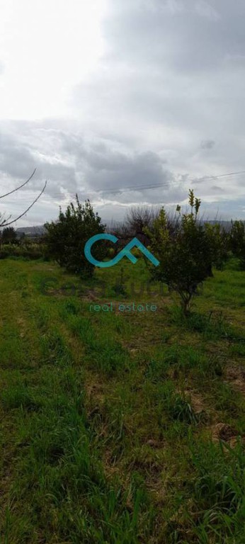 Οικόπεδο 187 τ.μ. πρός πώληση, Κορινθία, Σικυώνα