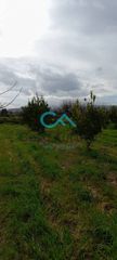 Οικόπεδο 187 τ.μ. πρός πώληση, Κορινθία, Σικυώνα-thumb-4