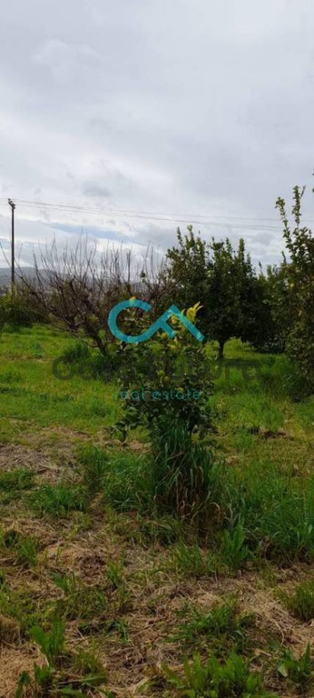 Οικόπεδο 432 τ.μ. πρός πώληση, Κορινθία, Σικυώνα