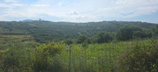 Αγροτεμάχια 6.450 τ.μ. για πώληση, Ν. Ρεθύμνου, Λάππα-thumb-9