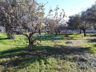 Οικόπεδο 623 τ.μ. προς πώληση, Κινέτα Μεγάρων-thumb-8