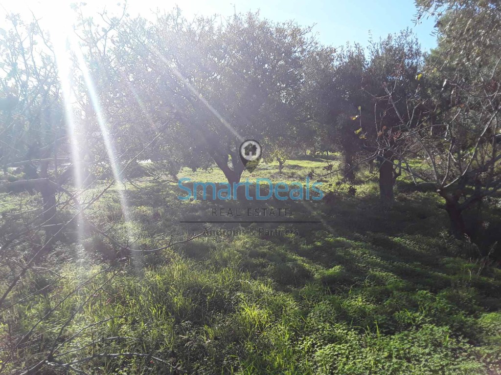 Οικόπεδο 623 τ.μ. προς πώληση, Κινέτα Μεγάρων