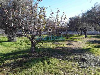 Οικόπεδο 623 τ.μ. προς πώληση, Κινέτα Μεγάρων-thumb-6