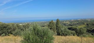 Οικόπεδο 3.000 τ.μ. για πώληση