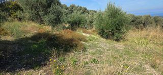 Οικόπεδο 3.000 τ.μ. για πώληση, Ν. Ρεθύμνου, Αρκάδι-thumb-1