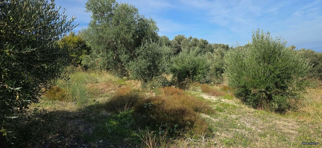 Οικόπεδο 3.000 τ.μ. προς πώληση, Ν. Ρεθύμνου, Αρκάδι