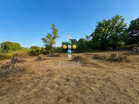 Αγροτεμάχια 1.100 τ.μ. πρός πώληση
