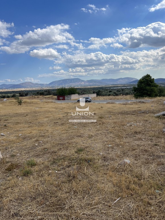 Οικόπεδο 2.188 τ.μ. πρός πώληση, Αθήνα - Ανατολικά Προάστια, Σπάτα