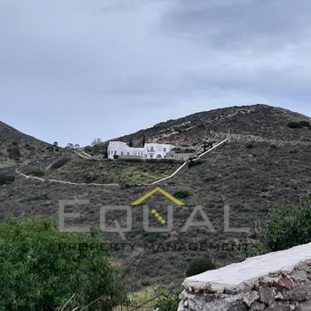 Αγροτεμάχια 4.000 τ.μ. προς πώληση