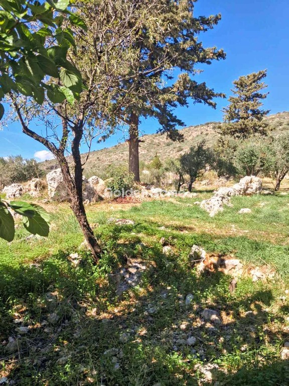 Οικόπεδο 18.061 τ.μ. προς πώληση, Ν. Χανίων, Γεωργιούπολη