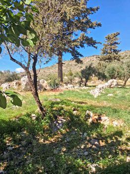 Οικόπεδο 18.061 τ.μ. προς πώληση