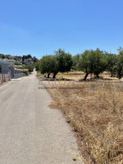 Οικόπεδο 750 τ.μ. πρός πώληση