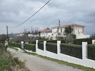 Μονοκατοικία 150 τ.μ. προς πώληση, Καστρί Αρτεμισίου-thumb-11