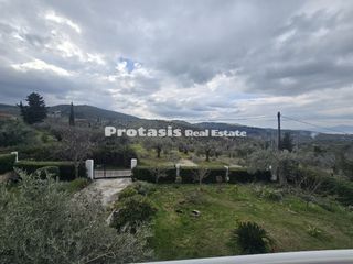 Μονοκατοικία 150 τ.μ. προς πώληση, Καστρί Αρτεμισίου-thumb-15