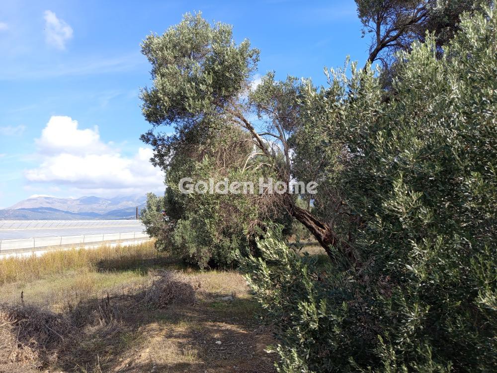 Οικόπεδο 2.300 τ.μ. πρός πώληση, Ν. Ηρακλείου, Τυμπάκι