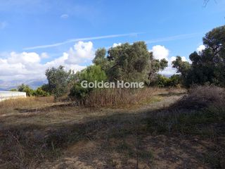 Οικόπεδο 2.300 τ.μ. πρός πώληση, Ν. Ηρακλείου, Τυμπάκι-thumb-2