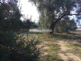 Οικόπεδο 2.300 τ.μ. πρός πώληση, Ν. Ηρακλείου, Τυμπάκι-thumb-4