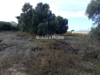 Οικόπεδο 2.300 τ.μ. πρός πώληση, Ν. Ηρακλείου, Τυμπάκι-thumb-1