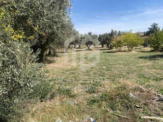 Οικόπεδο 3.003 τ.μ. πρός πώληση