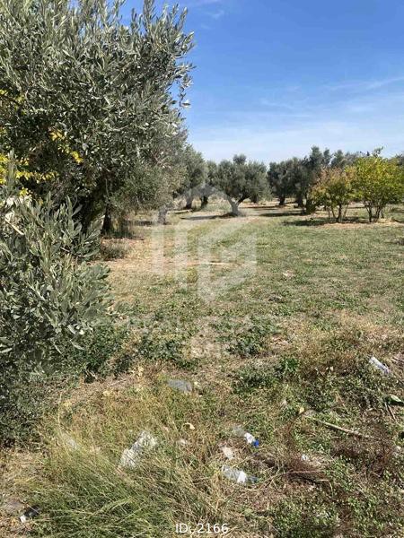 Οικόπεδο 3.003 τ.μ. προς πώληση, Αθήνα - Βόρεια Προάστια, Κηφισιά