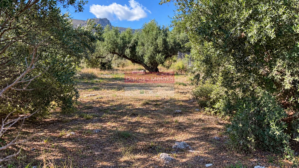 Οικόπεδο 597,48 τ.μ. πρός πώληση, Ν. Ηρακλείου, Χερσόνησος
