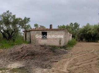 Οικόπεδο 23.000 τ.μ. πρός πώληση, Μεσσηνία, Μεσσήνη-thumb-6