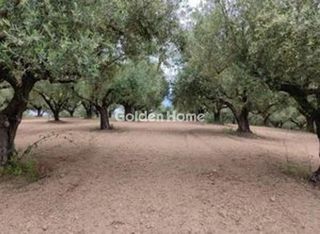 Οικόπεδο 23.000 τ.μ. πρός πώληση, Μεσσηνία, Μεσσήνη-thumb-5
