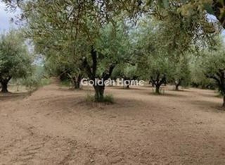 Οικόπεδο 23.000 τ.μ. πρός πώληση, Μεσσηνία, Μεσσήνη-thumb-4