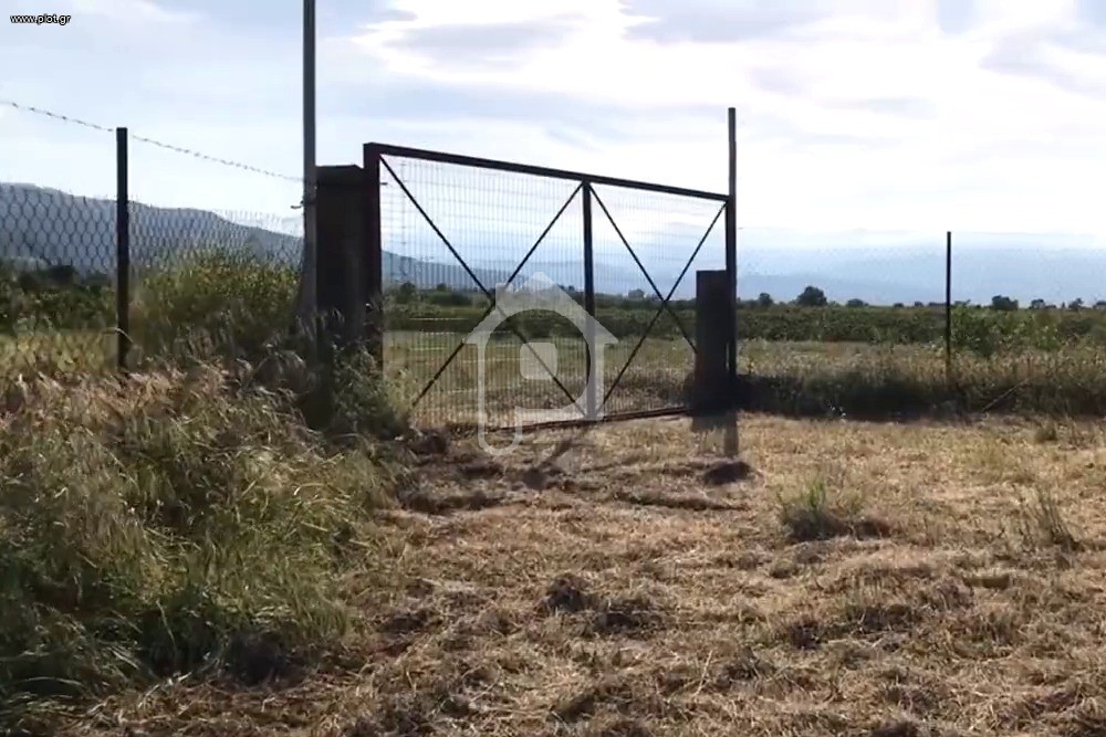 Αγροτεμάχια 2.800 τ.μ. προς πώληση, Παλατίτσια