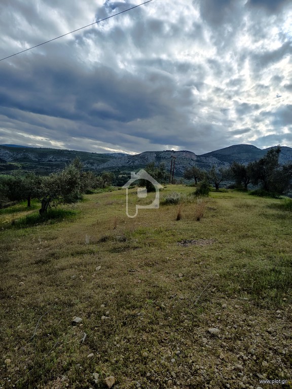 Αγροτεμάχια 10.000 τ.μ. πρός πώληση, Κορινθία, Κόρινθος