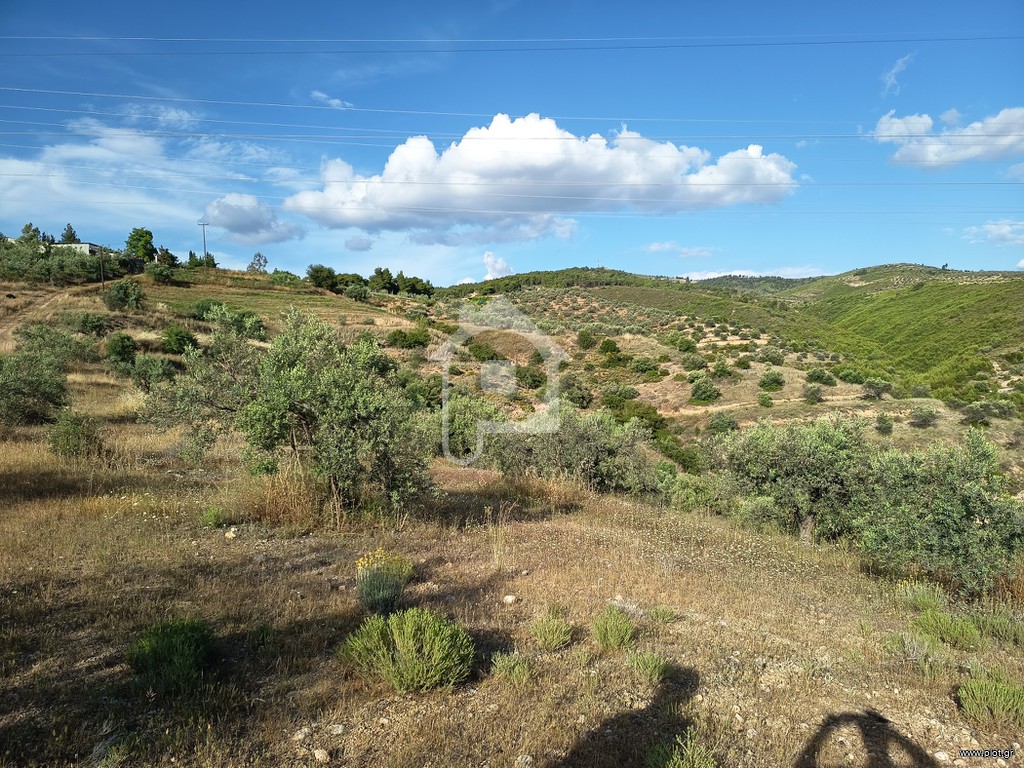 Αγροτεμάχια 10.000 τ.μ. πρός πώληση, Κορινθία, Κόρινθος