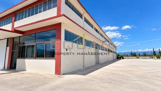 Warehouse 1.700 sqm for rent