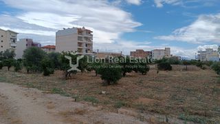 Οικόπεδο 3.200 τ.μ. προς πώληση, Κορινθία, Ξυλόκαστρο-thumb-4