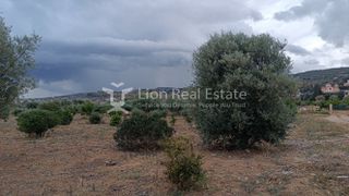 Οικόπεδο 3.200 τ.μ. προς πώληση, Κορινθία, Ξυλόκαστρο-thumb-2