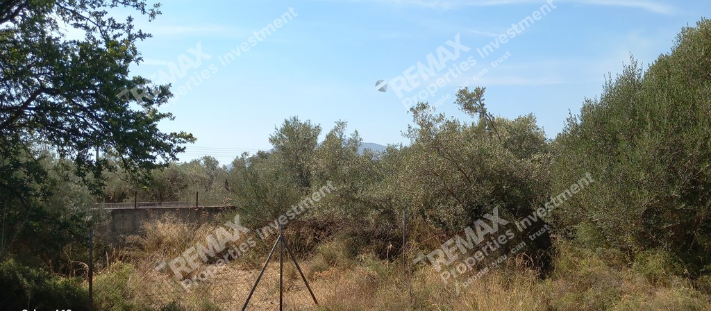 Αγροτεμάχια 830 τ.μ. πρός πώληση, Αθήνα - Ανατολικά Προάστια, Παιανία