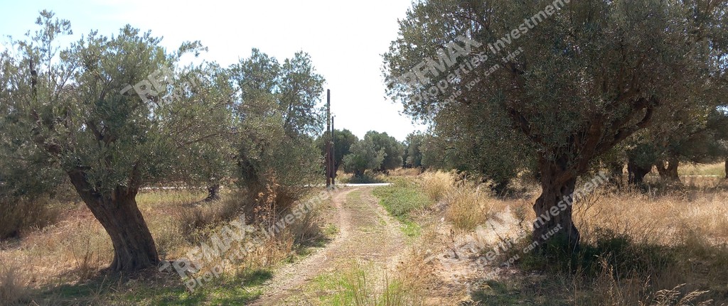 Αγροτεμάχια 830 τ.μ. πρός πώληση, Αθήνα - Ανατολικά Προάστια, Παιανία