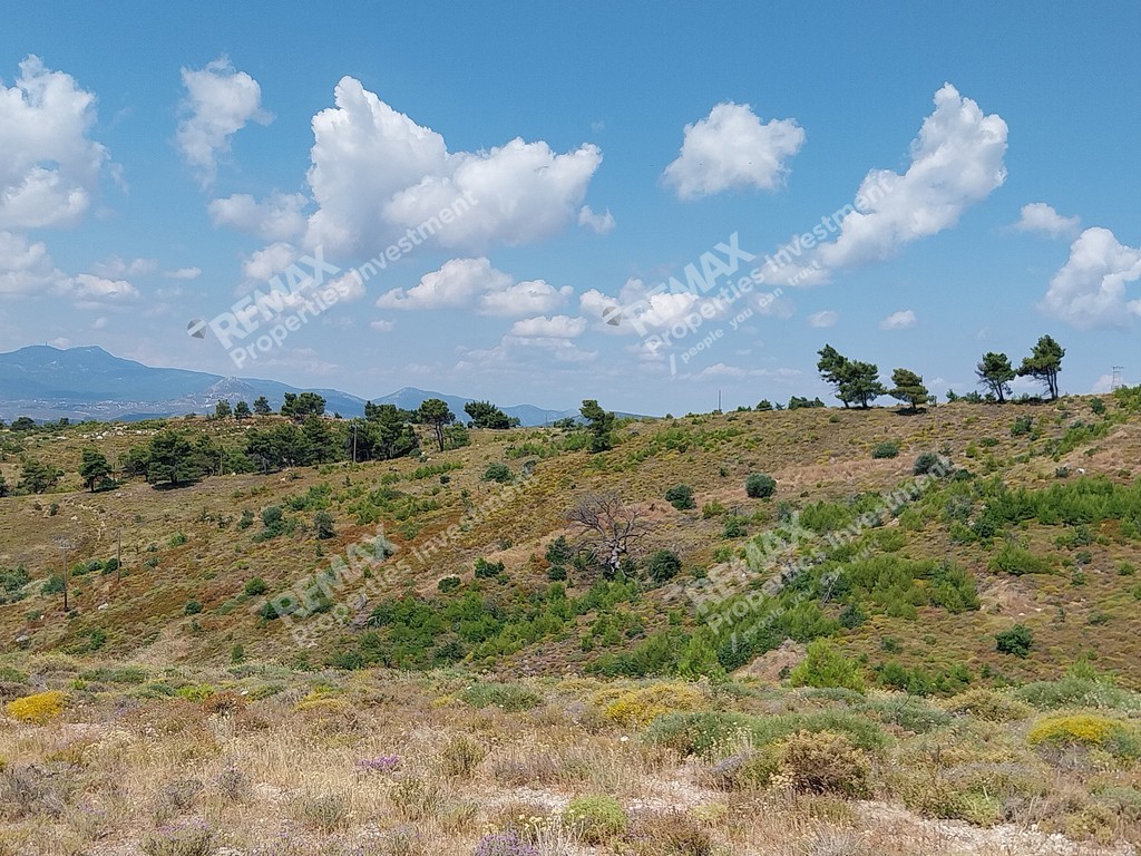 Αγροτεμάχια 18.000 τ.μ. πρός πώληση, Αθήνα - Ανατολικά Προάστια, Βαρνάβας