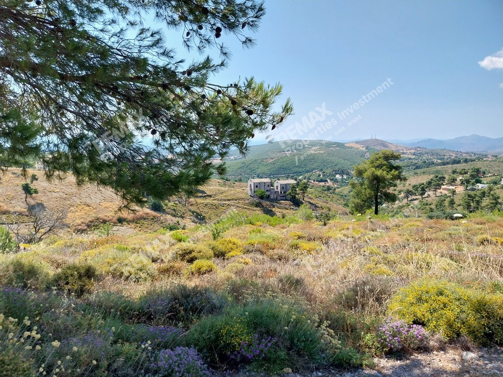 Αγροτεμάχια 18.000 τ.μ. πρός πώληση, Αθήνα - Ανατολικά Προάστια, Βαρνάβας