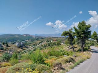 Αγροτεμάχια 18.000 τ.μ. προς πώληση