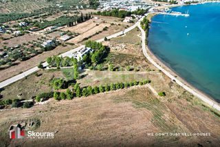 Αγροτεμάχια 5.531 τ.μ. πρός πώληση, Αργολίδα, Κρανίδι-thumb-18
