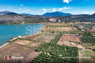 Αγροτεμάχια 5.531 τ.μ. πρός πώληση, Αργολίδα, Κρανίδι-thumb-15