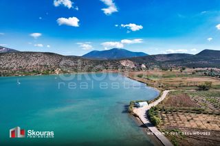 Αγροτεμάχια 5.531 τ.μ. πρός πώληση, Αργολίδα, Κρανίδι-thumb-13