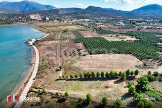 Αγροτεμάχια 5.531 τ.μ. πρός πώληση, Αργολίδα, Κρανίδι-thumb-10
