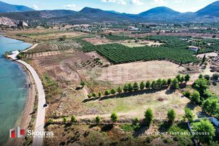 Αγροτεμάχια 5.531 τ.μ. πρός πώληση, Αργολίδα, Κρανίδι-thumb-22