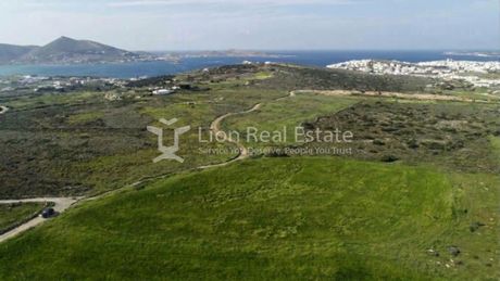 Οικόπεδο 12.500 τ.μ. πρός πώληση