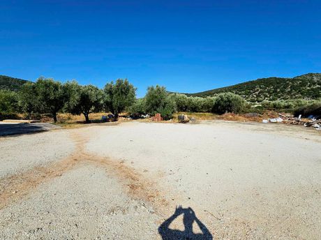 Αγροτεμάχια 4.010 τ.μ. προς πώληση