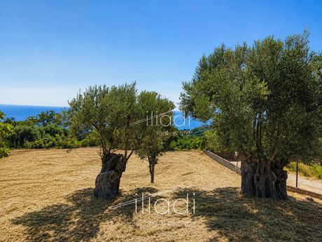 Αγροτεμάχια 1.350 τ.μ. προς πώληση
